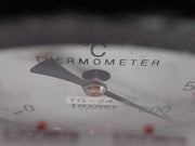Thyoda 0 To 600°C Thermometer 545 Mm 10Mm Tg-243