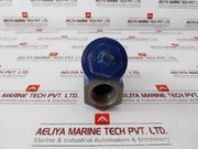 Titan-fci Ys12 A126 Cast Iron Y Strainer Fitting Strainer Valve 400Wp