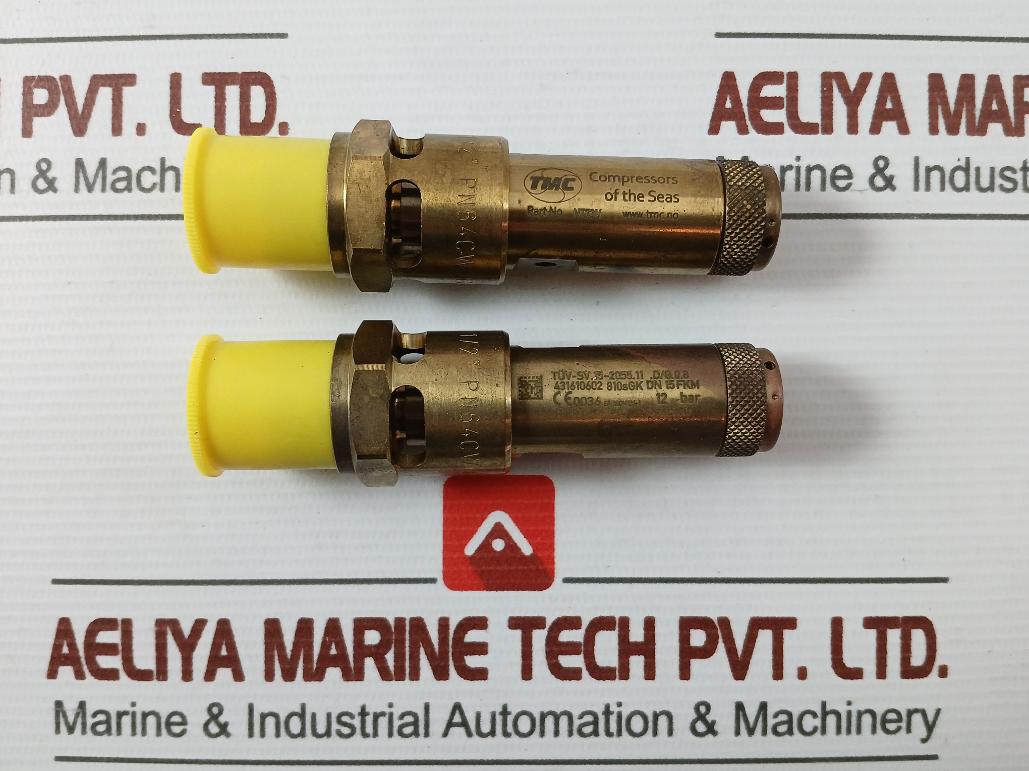 Tmc Tuv-sv.15-2055.11.D/G.0.8 Safety Valve 12-bar