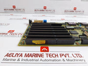 Tmf M21