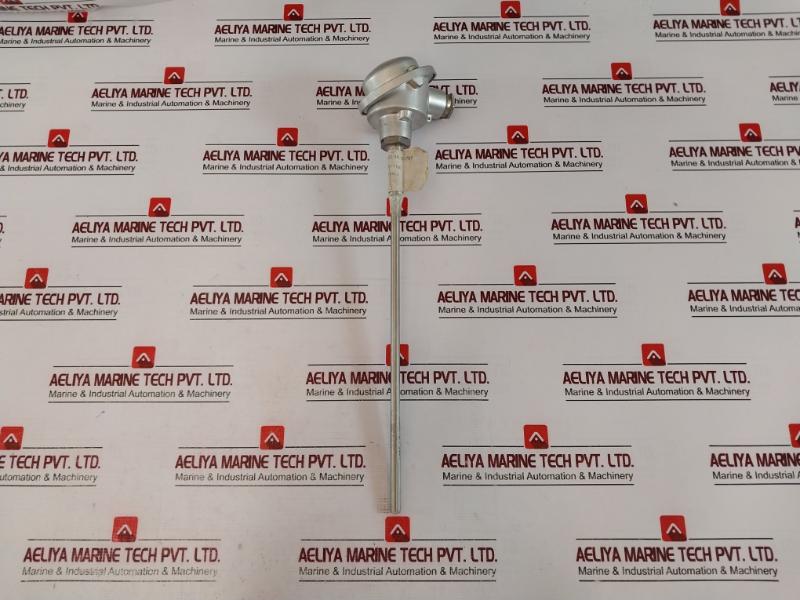 Tmh Tm021.131 Temperature Sensor 2X Pt100 2-wire K-24037