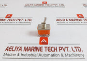 Toggle Switch 13a 250vac Part No E-Ten1321