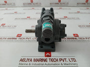 Top-203hbe Trochoid Pump By Nippon Oil Pump