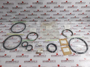 Truflo Rona Ms 35769-31 Actuator Repair Kit Seal 