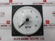 Tsuruga Electric Tmw-4B Pressure Indicator K6370871 Dc4-20Ma