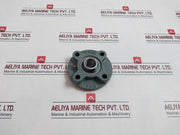 Tyb Fc205 Flange Block Bearing