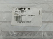 Upper-Reg-Plate-Hanger-T2702355-Triumph-208065-7