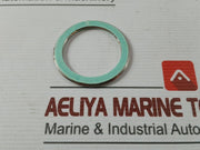 Valqua F0231460 Gasket/Green Tight 300-25A Af03-0035