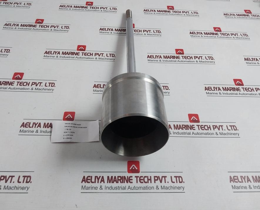 Valve & Valve Stem Assy