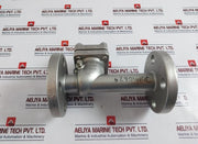 Warren Sw-ch Stainless Steel Swing Check Valve 4 Bolt Flanged End Dn 25