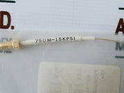 Waters 430003616 Tube Assembly Cap 75Um X 10 In, V-v, Hp Mm