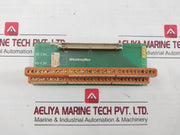 Weidmuller Rs-f 64 Interface Module 250V Ac 412906-2