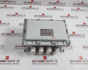 Wenzhou Qiming Bxk Explosion-proof Control Box 220/380V Ip65