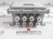 Wenzhou Qiming Bxk Explosion-proof Control Box 220/380V Ip65