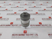 Werk-schott Pneumatica 1124G3110-0020 Pneumatic Cylinder