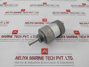 Werk-schott Pneumatica 1124G3110-0020 Pneumatic Cylinder