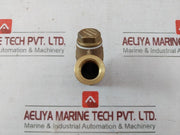 Wonil 15A Y-type Strainer Valve