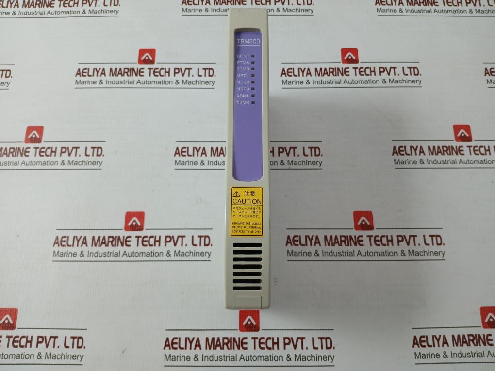 Yamatake Trm300