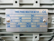 Ye3L63M2-2 Three-phase Induction Motor 0.25Kw 220-240/380-415V 50Hz