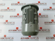 Ye3L63M2-2 Three-phase Induction Motor 0.25Kw 220-240/380-415V 50Hz