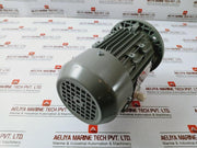 Ye3L63M2-2 Three-phase Induction Motor 0.25Kw 220-240/380-415V 50Hz