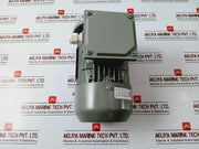 Ye3L63M2-2 Three-phase Induction Motor 0.25Kw 220-240/380-415V 50Hz