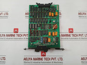 Yew Cnb-13a