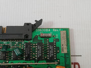 Yew Cnb-13a