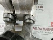 Yokogawa Y/15a1-Lk1/L/Gas-Fp/Ld/Cal-P