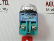 Yongsung Push Button Switch Ac250v 6a Ysap13-11