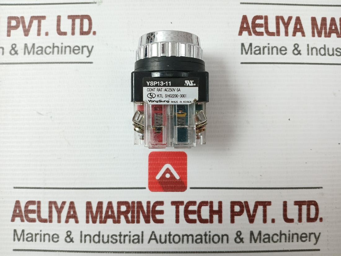 Yongsung Push Button Switch Ysp13-11 250vac 6a
