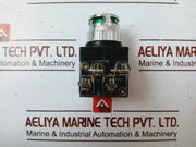 Yongsung Ys Npbl 2-t11A Pilot Lamp 100/110V (50/60Hz)