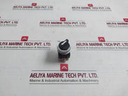 Yongsung Ys R3-211 Rotary Selector Switch 250V 6A