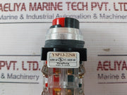 Yongsung Ysp13-22Sr Push Button Switch Ac250V 6A