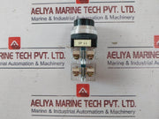 Yongsung Ysp13-22Sr Push Button Switch Ac250V 6A