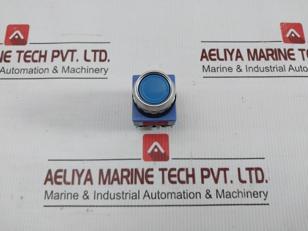 Ysap12-11-Push-Button-Switch-250-Vac-6A-Ktl-Sh02200-3001-Yongsung-208801-1