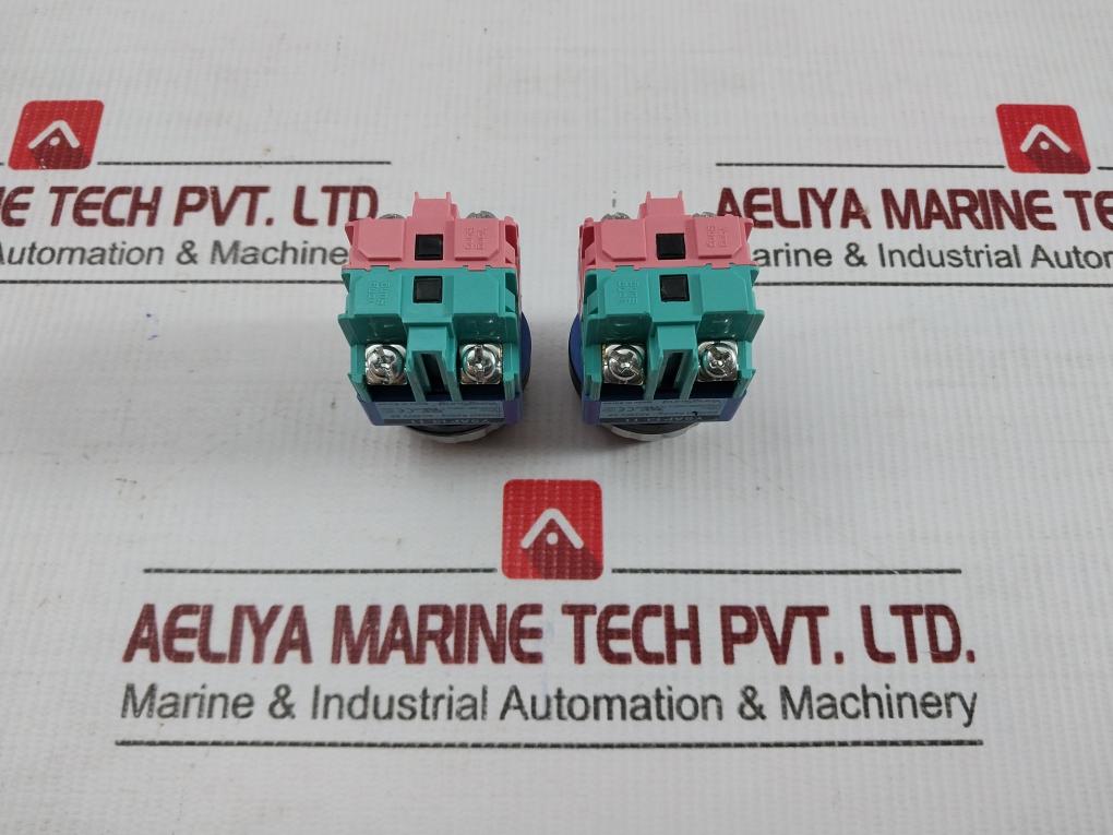 Ysap13-11 Push Button Switch 600v 10a By Yong Sung