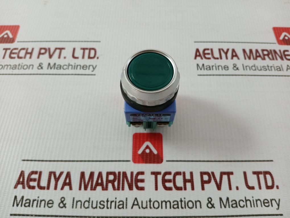 Ysap13-11 Push Button Switch Brand Yongsung Ac250v 6a