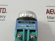 Ysap13-11 Push Button Switch Brand Yongsung Ac250v 6a