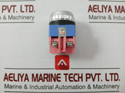 Ysap13-11 Push Button Switch Brand Yongsung Ac250v 6a