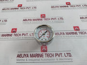 Abp 0-10.6 Bar Pressure & Temperature Gauge