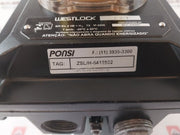 Air Torque Pt300 S12 A Pneumatic Actuator