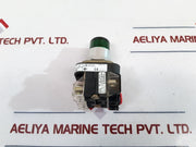 Allen-bradley 800T-qth24G Pilot Light