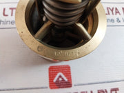 Amot 1096X170 Temperature Control Valve Thermostat