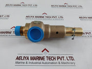 Apollo 19Kgfk175 Safety Relief Valves
