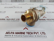 Apollo 19Kgfk175 Safety Relief Valves