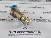 Apollo 19Kgfk175 Safety Relief Valves