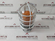 Appleton Vgu-2 Explosion Proof Light Cover