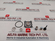 Asco 176270201 Spare Part Set