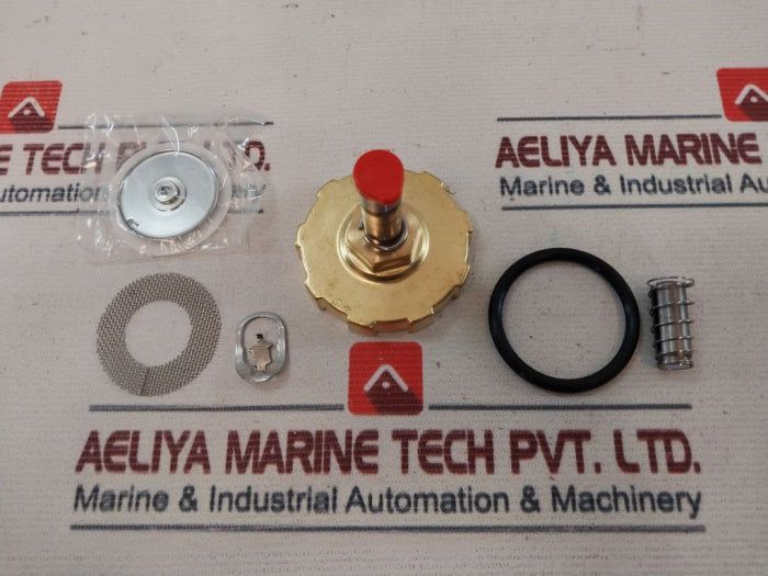 Asco 323471 Solenoid Sub-assembly Rebuild Kit 240/60Hz